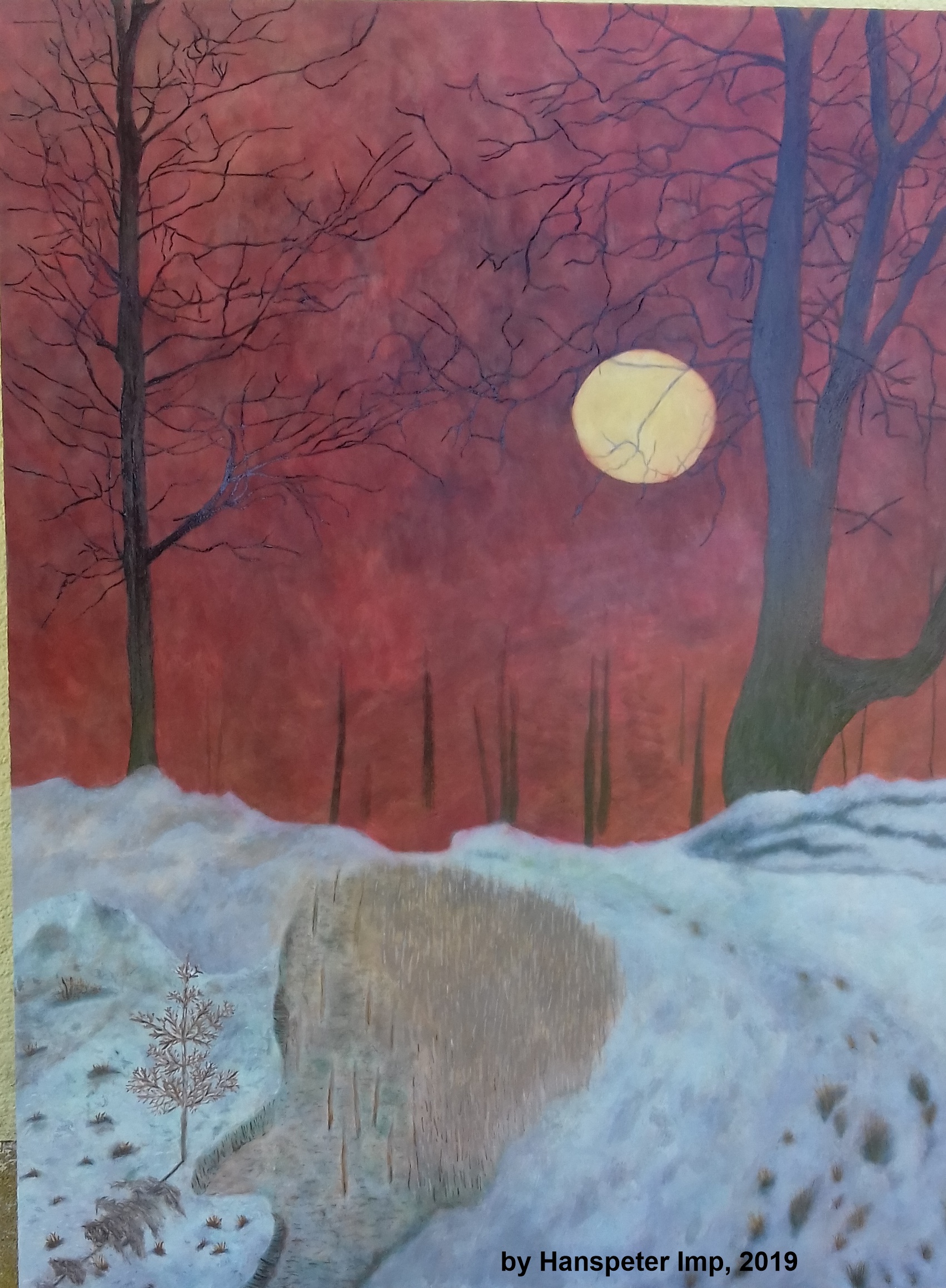 Roter Himmel mit Sonne und Schnee von Hanspeter Imp