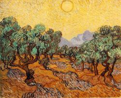 Vincent van Gogh Olivenbäume mit gelben Hintergrund